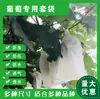 Bolsas No Tejidas para Frutas, Bolsas para Uvas para Protección contra Pájaros e Insectos, Bolsas Impermeables para Frutas con Cordón, Bolsas de vivero para Huertos en Stock
