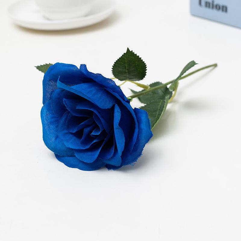 9I8A7664.jpg