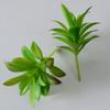 Simulación de planta suculenta, verde, belleza salvaje, plantas decorativas, cactus, interior, oficina, pequeños adornos, combinación de macetas.