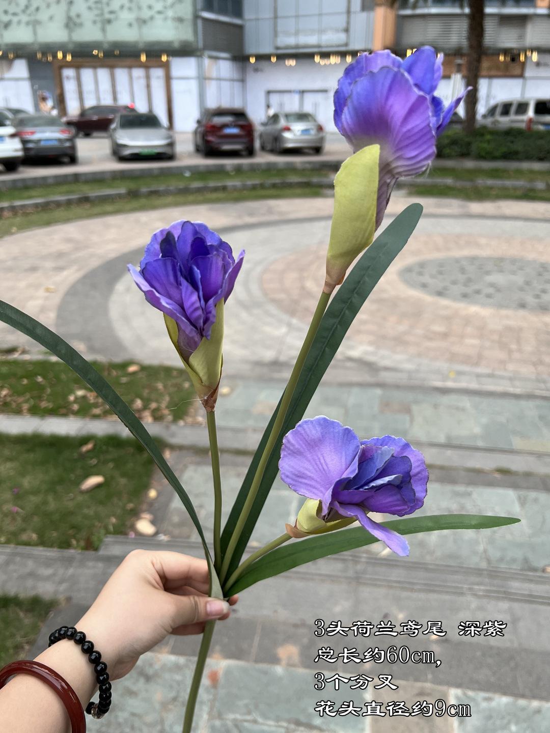 微信图片_20240329114100