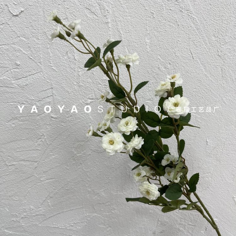 微信图片_20210523095253