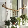 Ramas Secas Naturales para Paisajismo, Perchero de Madera Maciza, Troncos de Árboles Muertos, Divisorio Decorativo de Barra de Madera para Sala de Estar y Hotel