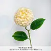 Bola de Nieve Crema Tallo Único Bola de la Suerte Accesorios de Fotografía Flores Artificiales Alta Calidad Frescas Flores para Pasillo de Boda