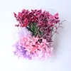 Flor Eterna DIY Kit de Materiales de Flores Secas Regalo del Día de las Madres Ventilador Creativo Hecho a Mano Marco de Fotos Materiales de Flores de Resina Flores Preservadas
