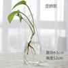 Florero de Vidrio Hecho a Mano, Adornos Creativos para Sala de Estar, Arreglo Floral, Dispositivo Transparente Hidropónico para Flores, Decoración para Jardinería en Casa