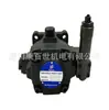 Taiwan North Máquinas de Precisão Bomba de Palhetas Northman Hvpvc-F30-A2-02 Hvpvc-F30-A3-02