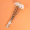 Palito de Pena de Ganso para Limpar Ouvidos, Colher de Ouvido Criptografada para Limpar Ouvidos, Ferramenta Profissional para Limpar Ouvidos, Suprimentos para Banho de Pés e Sauna