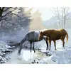 Dropshipping Transfronterizo Pintura al Óleo Digital al por Mayor Pinturas sin Marco 40X50 Amazon Wish Fábrica de Pintura Vestíbulo Ozon Caballo