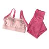 Conjunto de Roupa de Yoga Série Orelha de Gatinho de Alta Intensidade, Conjunto Esportivo de Duas Peças, Conjunto de Roupa de Yoga Feminino para Academia