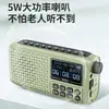 Radio Bluetooth multifunción D90 de anillo múltiple, tarjeta, unidad de disco U, doble ranura para tarjeta, grabación, reproductor de repetición, pantalla de letras