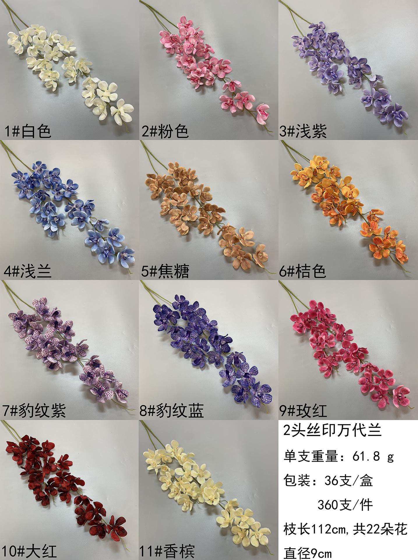 2叉万代兰  -色卡.jpg