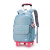 Mochila de Rodinhas Nova Chegada Peixe Natural para Alunos do Ensino Fundamental e Meninas Estilo Cor Sólida Grande Capacidade Mochila Removível