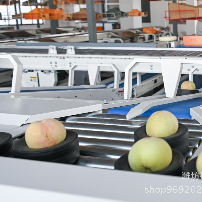 2024-04-05 10:56:02.jpg