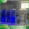 Porta de Desinfecção por Atomização Tipo 500 com Sensor Automático para Aeroporto e Estação, Fábrica de Abate de Animais, Oficina de Fábrica