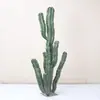 Cactus Pilares de Dragón Simulados Cactus Parásito Planta del Desierto Marroquí Decoración Suave para Paisajismo Modelo Decoración de Proyectos