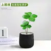 Planta em vaso Árvore de Ferro Mexicana trevo de quatro folhas, planta verde de interior para escritório, flor de humor para mesa de escritório, para creche volta às aulas