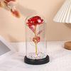 Rosa de folha de ouro flor de vidro capa luz noturna flor eterna Lâmpada LED caixa de presente ornamentos de flor Tanabata Dia dos Namorados presente