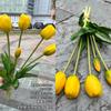 Novos fabricantes de comércio exterior de tulipas brancas 5 toque de borracha macia tulipa casamento mão decoração para casa flores falsas