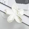 Novo Conjunto de Outono e Inverno Cruzado com Plumeria Escovada Presilha de Cabelo Bauhinia Estilo Festivo Elegante Presilha de Tubarão Acessórios de Cabelo Presilha de Cabelo