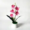Artículo popular de comercio exterior: Orquídea Phalaenopsis artificial de 5 flores en una maceta grande tipo jarra de vino, usada para decoración de bodas y arreglo de pasillos, maceta de flor artificial y planta verde