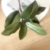 Planta Verde Artificial Nórdica Hoja de Magnolia Sensación de Película Hoja Falsa Área de Enverdecimiento de Hotel al Aire Libre Material de Flor para Paisajismo