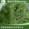 Polvo de Hojas de Moringa al por Mayor, Muestra de Polvo de Hojas de Moringa 100g