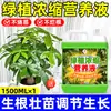 Solución Nutritiva para Plantas, Universal para Hogar, Cultivo de Flores, Pothos Hidropónico, Planta Verde, Suculenta en Maceta, Árbol del Dinero, Fertilizante Líquido