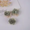Brincos Pequenos de Florido em Duas Cores com Borda Queimada para Mulheres Novos Populares de Primavera Nicho Brincos de Luxo Leve Atacado