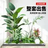 Paisagismo de Planta Artificial Varanda Arranjo de Paisagem Escada Interna Sob Árvore de Flores Artificiais Decoração Biomórfica Planta Verde Paisagismo Combinação