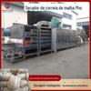 Máquina de secagem de farinha de rio grande correia de rede linha de produção de secagem de farinha de rio úmido equipamento de secagem de farinha de arroz de areia instantânea
