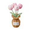 Amazon Transfronterizo Producto Terminado Ganchillo Orquídea Phalaenopsis, Tulipán Jarrón de Lana Bonsái de Escritorio