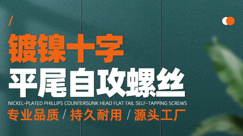 镀镍十字沉头平尾自攻螺丝_01_01.jpg