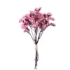 Flores Secas Transfronterizas, Gypsophila, Flores de Cristal, Mini Ramos, Ramos de Punta de Dedo Mezclados y Combinados, Cajas de Regalo, Decoraciones para Tarjetas de Felicitación