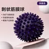 Bola de Fascia Pontiaguda de PVC Bola de Massagem Fitness Bola de Relaxamento Muscular Bola Ouriço Pressionamento de Pontos de Acupuntura da Planta do Pé Bola de Treinamento de Reabilitação