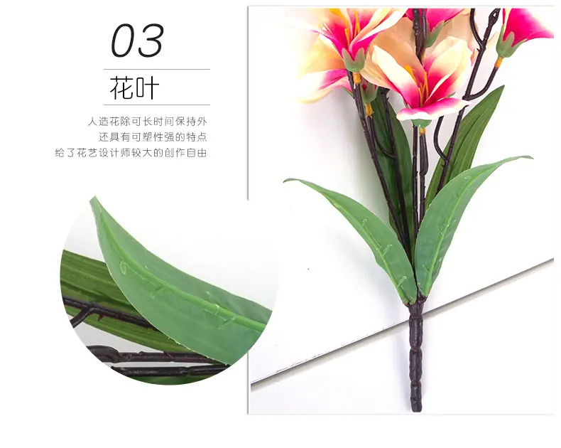 7剑兰小把花_09.jpg