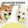 Pelota Juguete para Perros Gadget de Autoentretenimiento para Aliviar el Aburrimiento para Mascotas como Border Collies, Golden Retrievers, Corgis; Pelota Masticable Duradera para Limpieza Dental, Adecuada para Perros Pequeños y Grandes