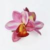 Nueva Horquilla de Doble Orquídea de Venta Caliente Horquilla Estilo Bohemio Vacacional Accesorios para el Cabello para Fotos Clip Lateral de Flor Brillante