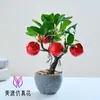 4 Cabezas simulación fruta bonsái de alta gama flor simulación adornos decoración interior creativa planta verde fabricantes maceta simulación falsa