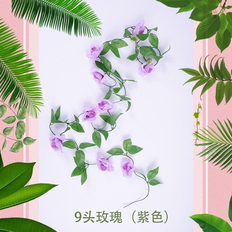 9头玫瑰（紫色）1
