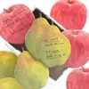 Notas Adhesivas Papermore con Forma Especial, Pequeñas para la Vida Diaria, Material Lindo de Frutas, Mensajes y Notas para Estudiantes, Pegatinas N Veces