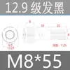Tornillos de Cabeza Cilíndrica de Alta Resistencia Grado 12.9 para Impulsión de 1/2", Tornillos de Estándar Nacional, Caja Completa M2M3M4M5M6M8