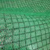Red de vegetación tridimensional protección de reverdecimiento de taludes tapete geotextil tridimensional protección de taludes y fijación de suelo fabricante de red de vegetación tridimensional