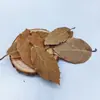 Fatias de Limão Decoração de Natal Acessórios Artesanais DIY Arranjo de Flores Ornamentos Decoração de Casa Pinhas Adereços de Fotografia Cascas de Frutas Secas