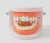 Grills Transfronteiriços Europeus e Americanos Ouro Galvanizado Dentes de Tigre Aparelhos Hip-Hop para Homens e Mulheres, Presas de Vampiro Acessórios de Halloween
