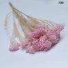 [Cor clara flor de arroz descolorida] flor de arroz vaso ins arranjo de flores 50g