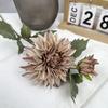 Transfronteiriço Duas Pontas 3D Dália de Outono Peônia Simulada Peônia Decoração de Casa Adereços de Casamento Retrô Francês Flor
