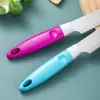 Cuchillo para Fruta de Acero Inoxidable con Mango de Plástico, Cuchillo Pelador Afilado para Uso Doméstico, Cuchillo Pelador de Frutas y Verduras al por Mayor Asakh-No.852
