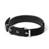 Collar para Perros de Tamaño Grande, Mediano y Pequeño Collar para Mascotas Correa de Hebilla de Pasador de Espuma de Polipropileno Venta Directa de Fábrica