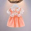 Roupas de Vestido de Verão para Bebê Menininha Bebê Saia Fofa Vestido Infantil da Moda Vestido de Princesa Saia Nova