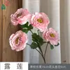 26 Años de Materiales de Flores Rosadas, Diseño de Rendimiento Comercial, Flores Falsas para Sesión de Fotos de Boda Romántica, Flores de Seda para Decoración Suave